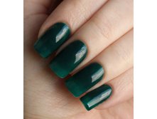 815-120 ���.jpg