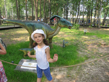 ������ 737.jpg