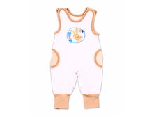 ���62 �� 207.png