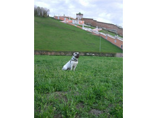 IMG 20160811 174551 96.jpg