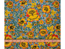 ���� ��������.