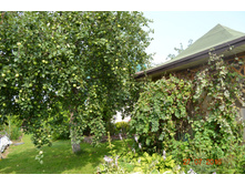 ������ ���������� �� ����� �����