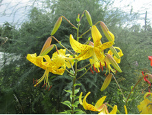 ����� ���������� 200�