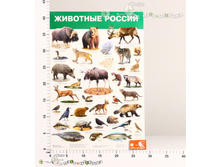 ���2986 ������ �������� ������ 31,03.jpg