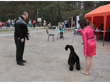 10420068 1849414475283663 593087375221360906 n.jpg