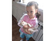 ������ 723.jpg