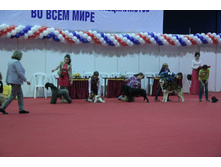 11196331 1840268142864963 7932926317568923865 n.jpg