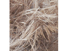 ����� 541.jpg