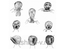 150504150 w640 h640 508897023 720.jpg