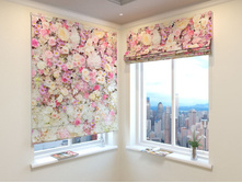 ��������� �������.jpg