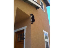 � ��� ��� - �����?