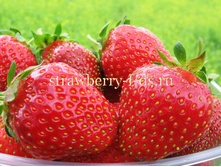 ��������� ������ 50���..jpg