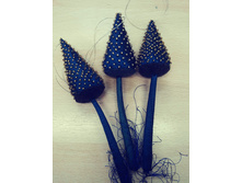 ������� �������