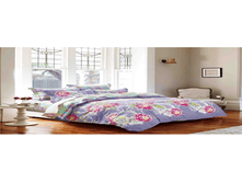 �������� ����������