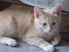 ������ 791.jpg