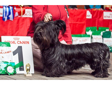 IMG 20160811 174710 15.jpg