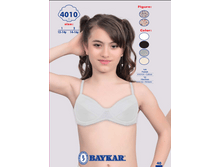 ������ 4010.png