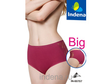 INDENA ����� ������� ����� ������ ���.60707 -170 ���