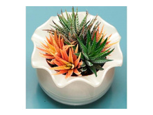 ��� ����4.jpg