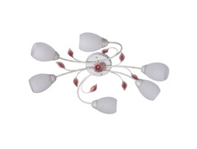 242016406 3600�.jpg