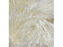 �������� 1.jpg