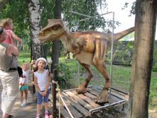 ������ 736.jpg