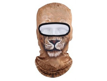 ����� ���������. ���� - ������������. 3� ���������