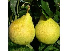 ����� ������ ����� 320���. 1-����� (������� 20��).jpg