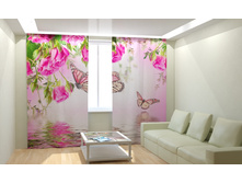 ������� � ����.jpg