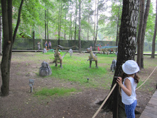 ������ 762.jpg