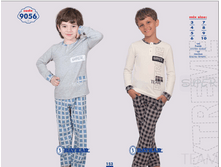 ������ 9056.png