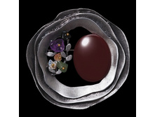 032911 ��������� 210.jpg