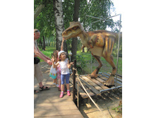 ������ 735.jpg