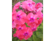 ���������� ������