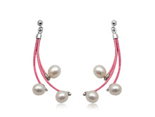 ZSP7963.jpg