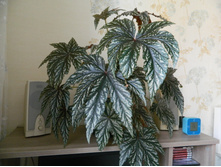 ��������� ������