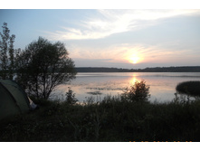 ����� (��������� 2016)