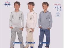 ������ 9051.png