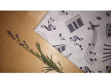 ���� 140 �� ������ ������� 160 �������� ��������!! �������� ���� 200+18%� �� 1 �