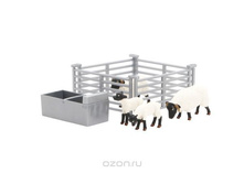 43080 ����� ���� � ������.jpg