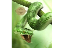 ������������� 3D ������ 000014959