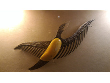 P 20160621 115103.jpg