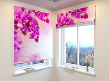 ������� ������� 2.jpg