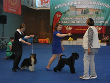 13445431 2063805213844587 3258238544847843097 n.jpg