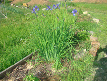 DSC05122 - �����.JPG