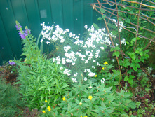 DSC05150 - �����.JPG