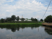 IMG 6504.JPG