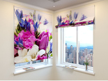 �������� �������.jpg