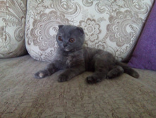 IMG 20150101 060425.jpg