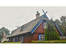 P 20160626 202121 HDR.jpg